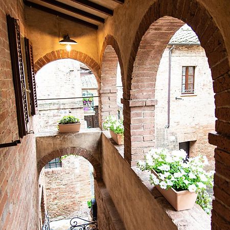 La Loggetta Apartment Buonconvento Ngoại thất bức ảnh